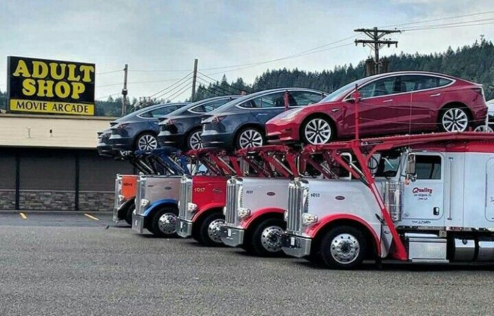 car transport from ny to florida