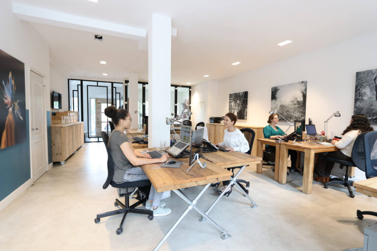 Modern office space of ESSD Consulting team collaborating on e-commerce and digital marketing projects.