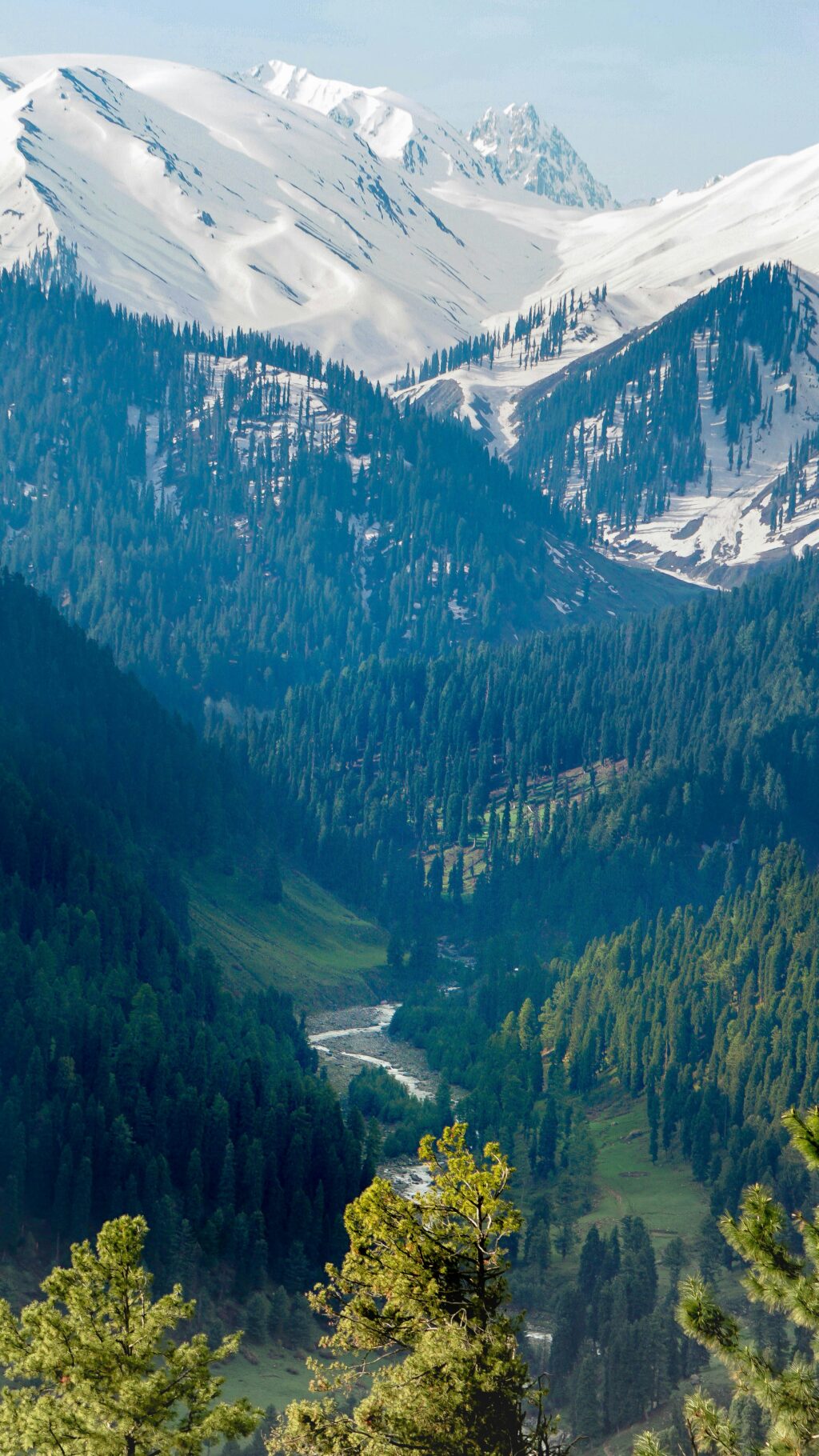 hellobeekay-GCVc7KSS_9U-unsplash (1)