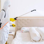 Pest Control in dubai