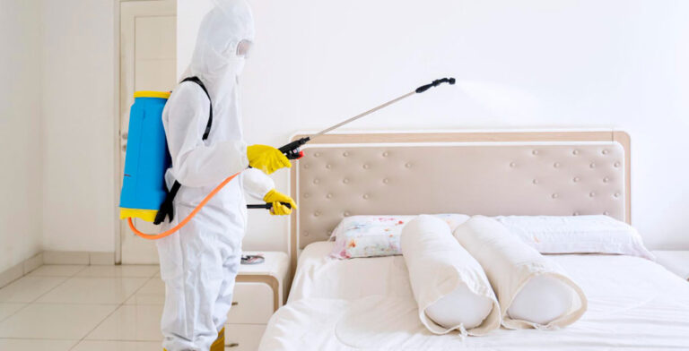 Pest Control in dubai