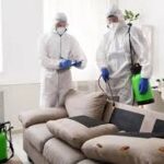 home pest control Dubai