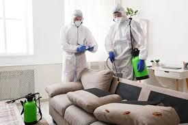 home pest control Dubai
