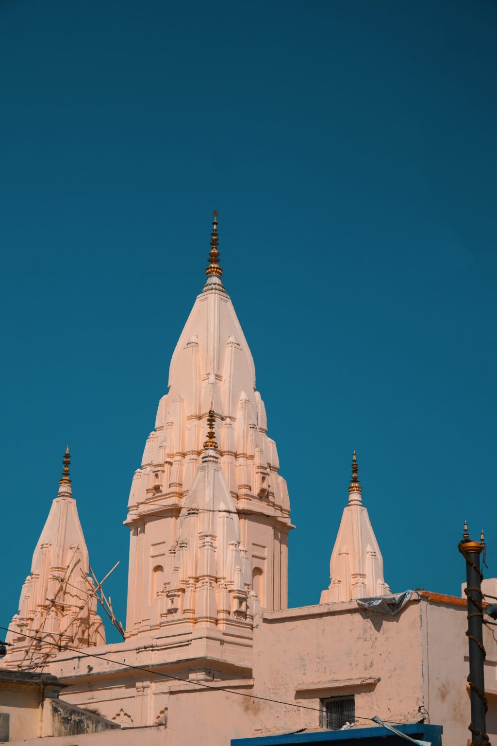raju-kumar-uWzdhQPJQvM-unsplash