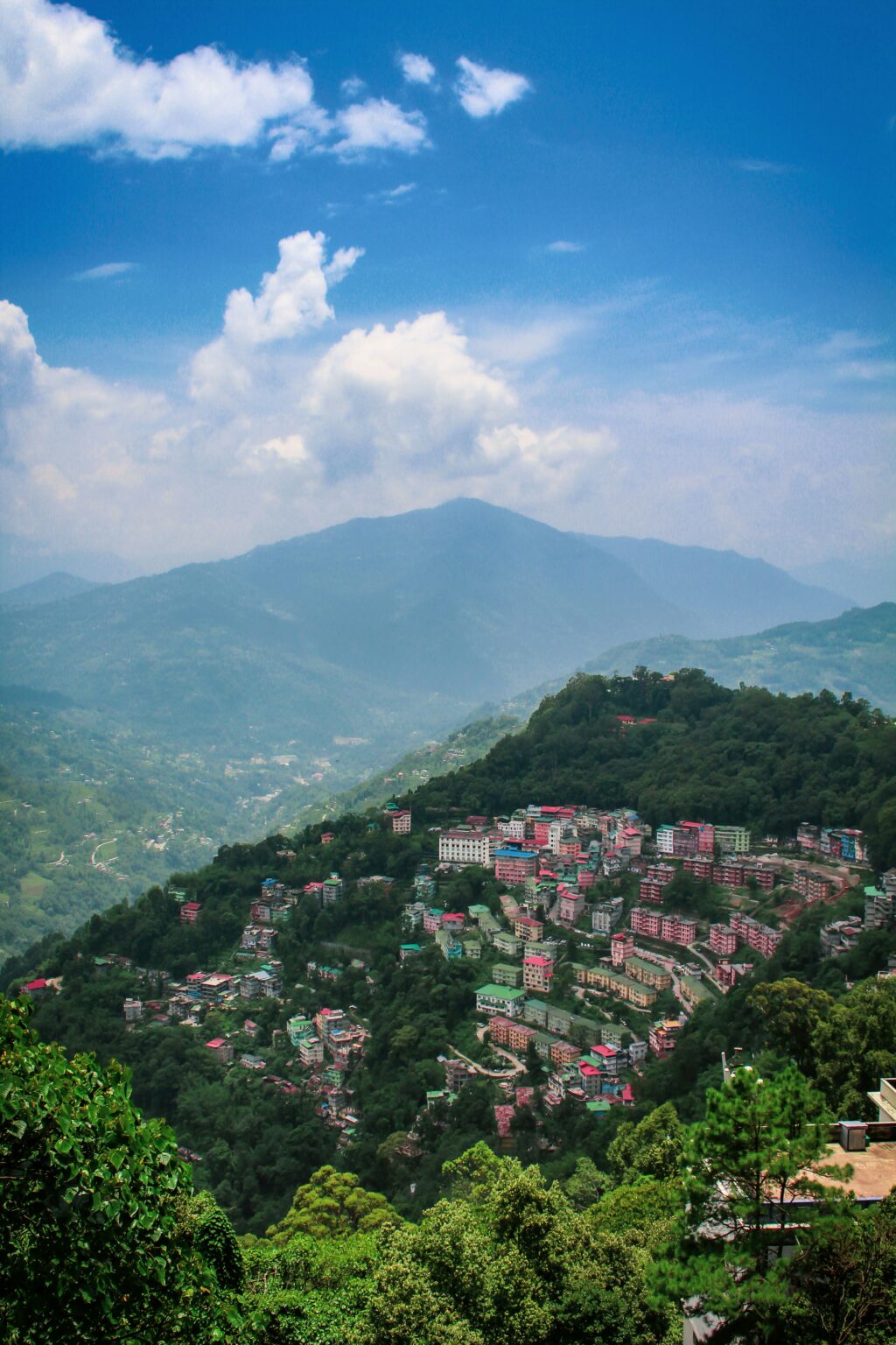 unma-desai-uwMlZPLgRk8-unsplash (1)