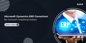 Microsoft Dynamics ERP Consultant