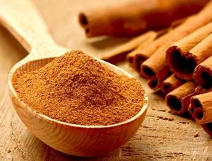 Cinnamon Bark Extract
