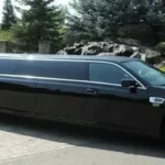 Winter Tour Limo Service