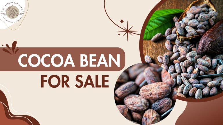 Cocoa Bean For Sale