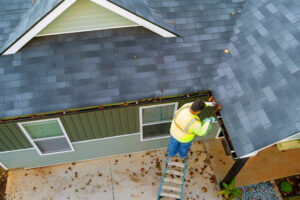 Gutter Cleaning
