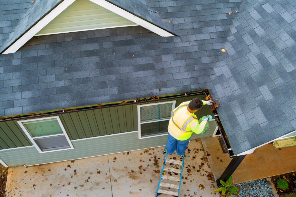 Gutter Cleaning
