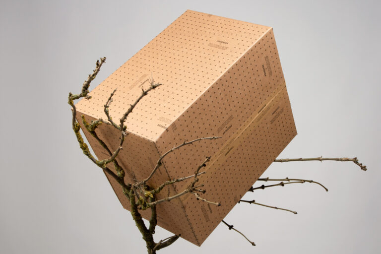 The Impact of Printing Quality on Custom Cosmetic Boxes