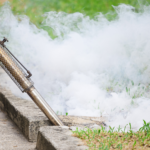 Spiders Return After DIY Treatments