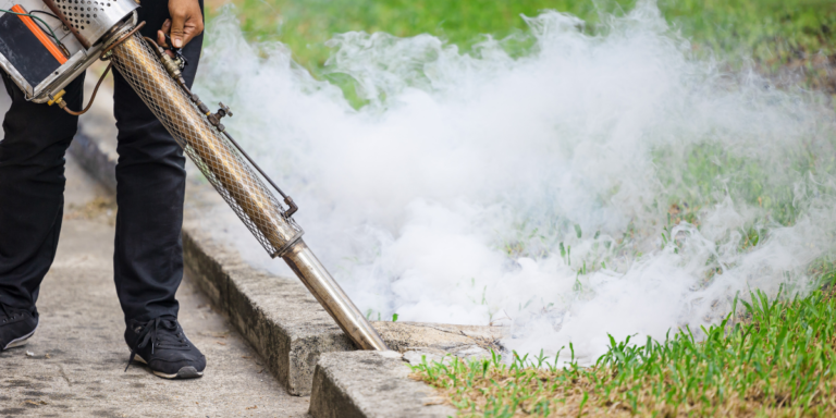 Spiders Return After DIY Treatments