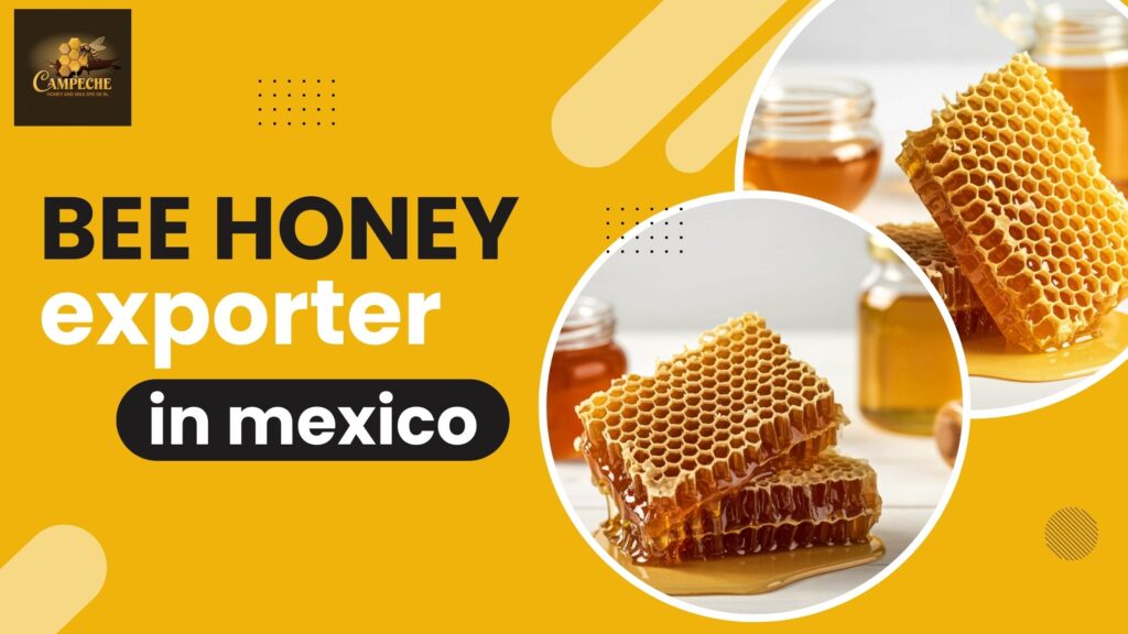 bee honey exporter in mexico