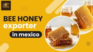 bee honey exporter in mexico