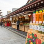 Japan Health Drinks Market