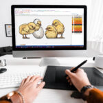 Convert Logo to PXF File Format