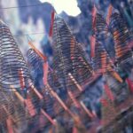 quality cable suppliers in uae