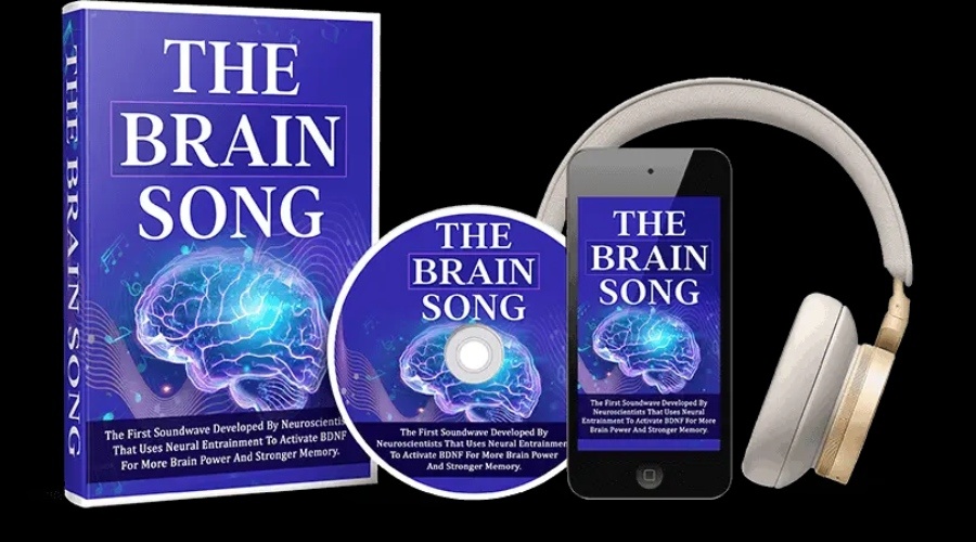the brain song