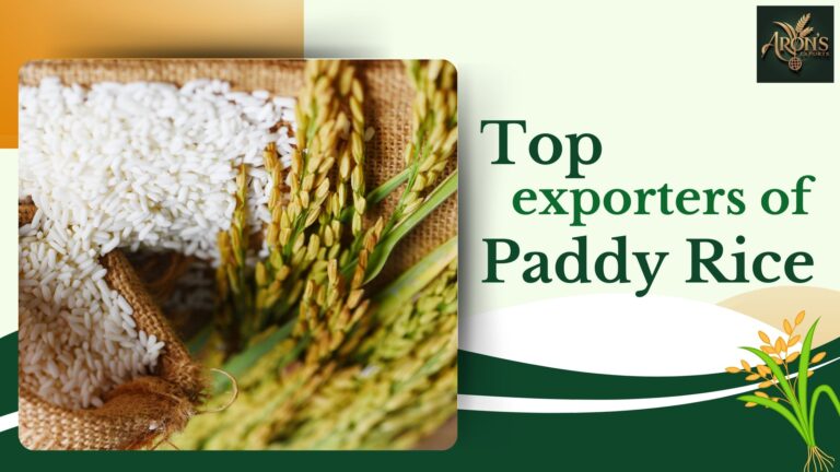 top exporters of paddy rice