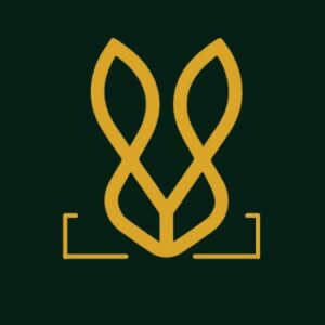 Brown Comfortable Loafers For Men