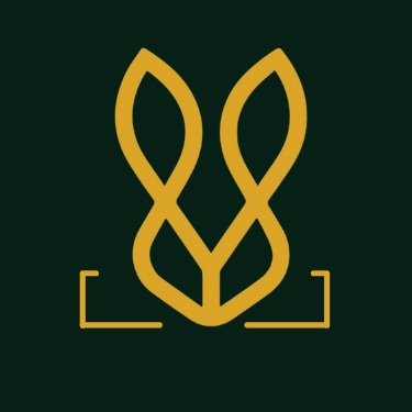 Brown Comfortable Loafers For Men