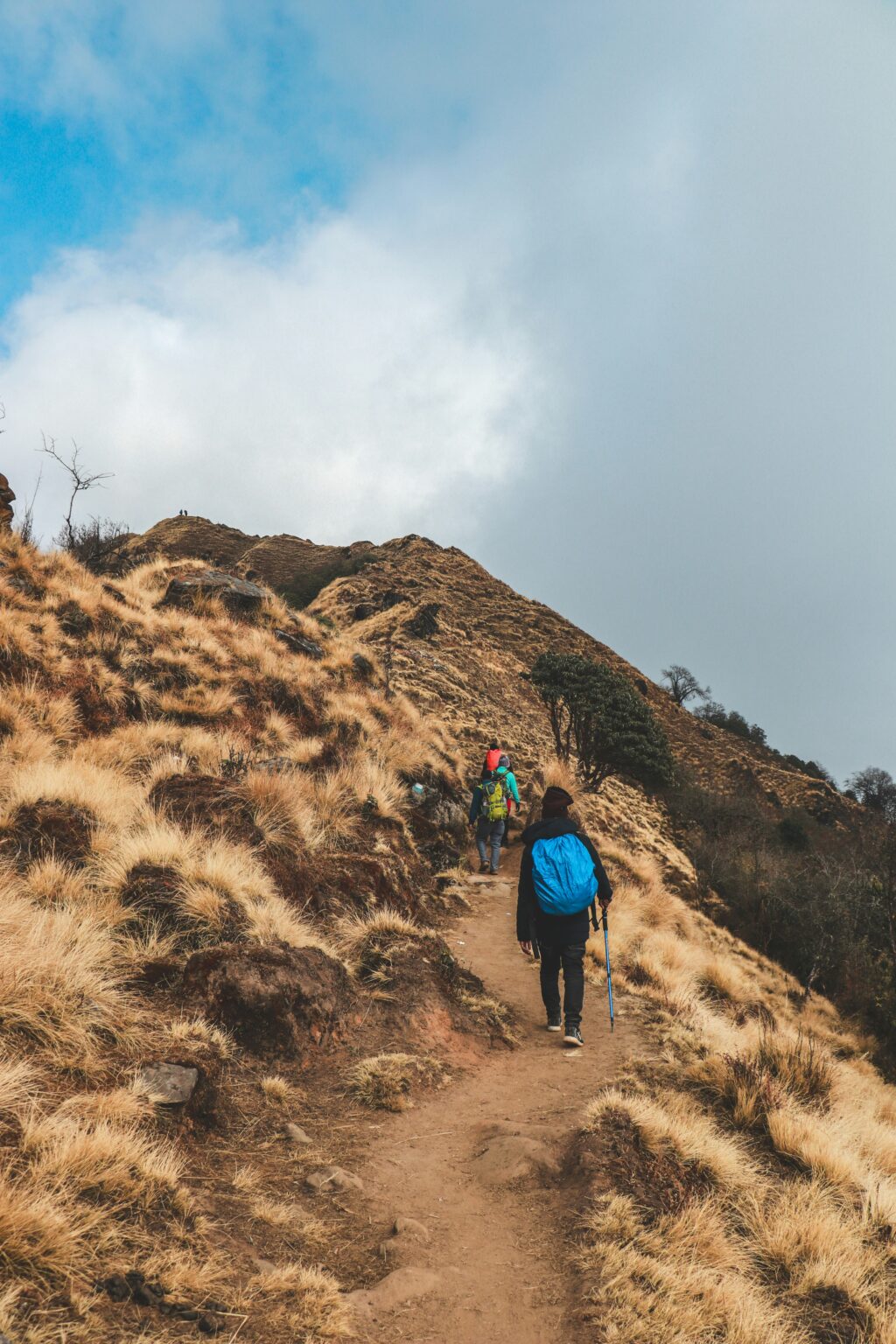 Mardi Himal Trek 5