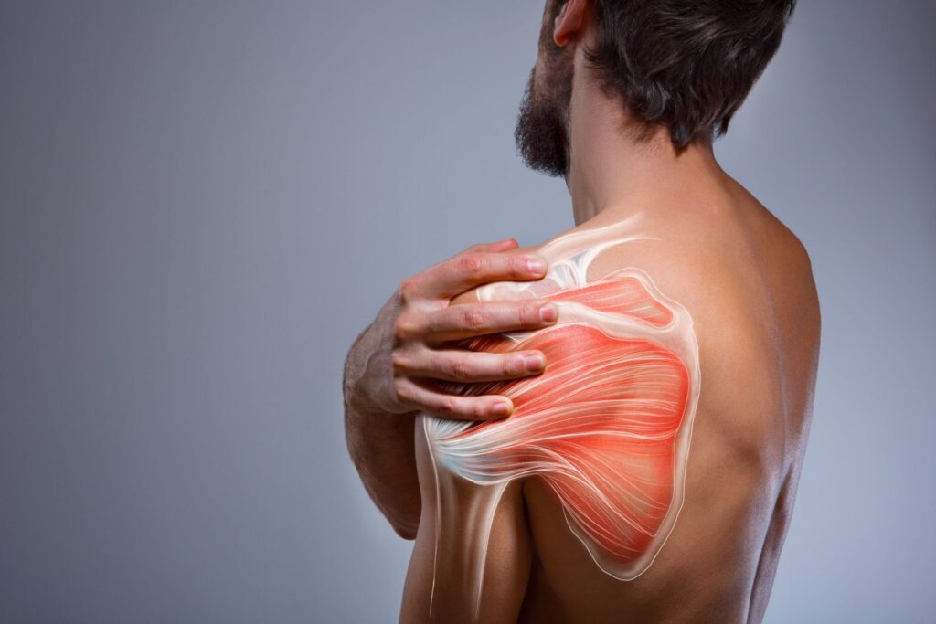 Shoulder-pain-explain