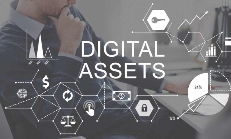 Digital Assets Business Management System Concept