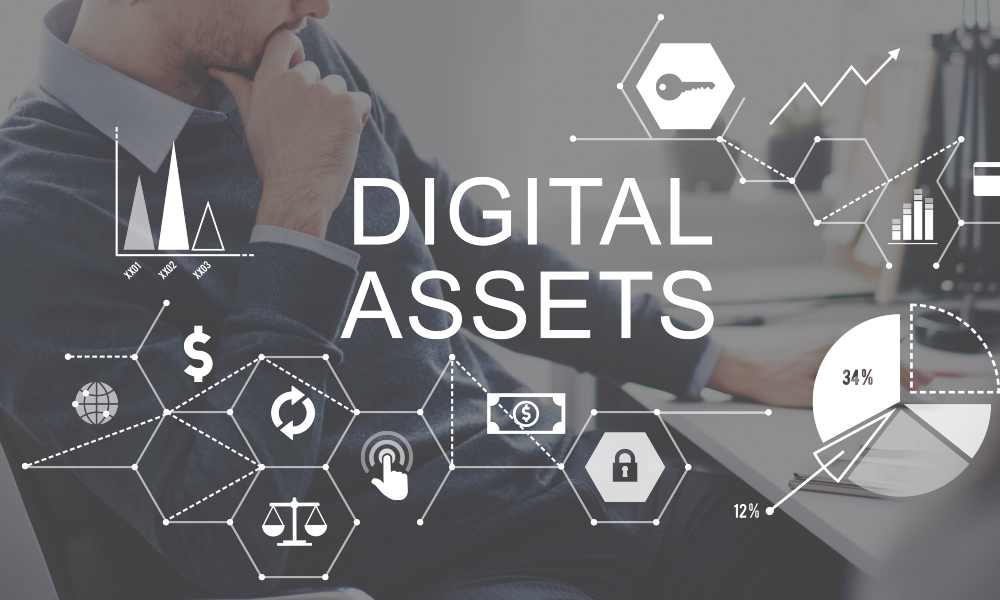 Digital Assets Business Management System Concept
