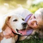pet palliative care