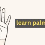 learn palmistry