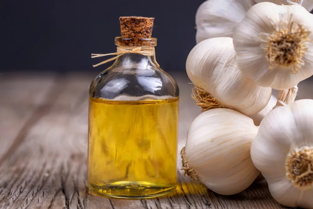 garlic oil bulk suppliers