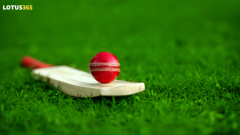 Benefits of Using a Trusted Online Cricket ID Provider