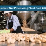 Cashew Nut Processing Plant Cost 2026