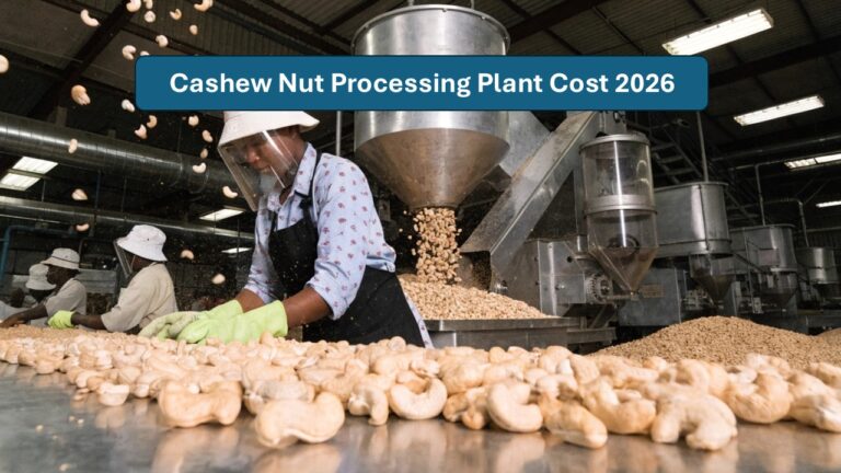 Cashew Nut Processing Plant Cost 2026