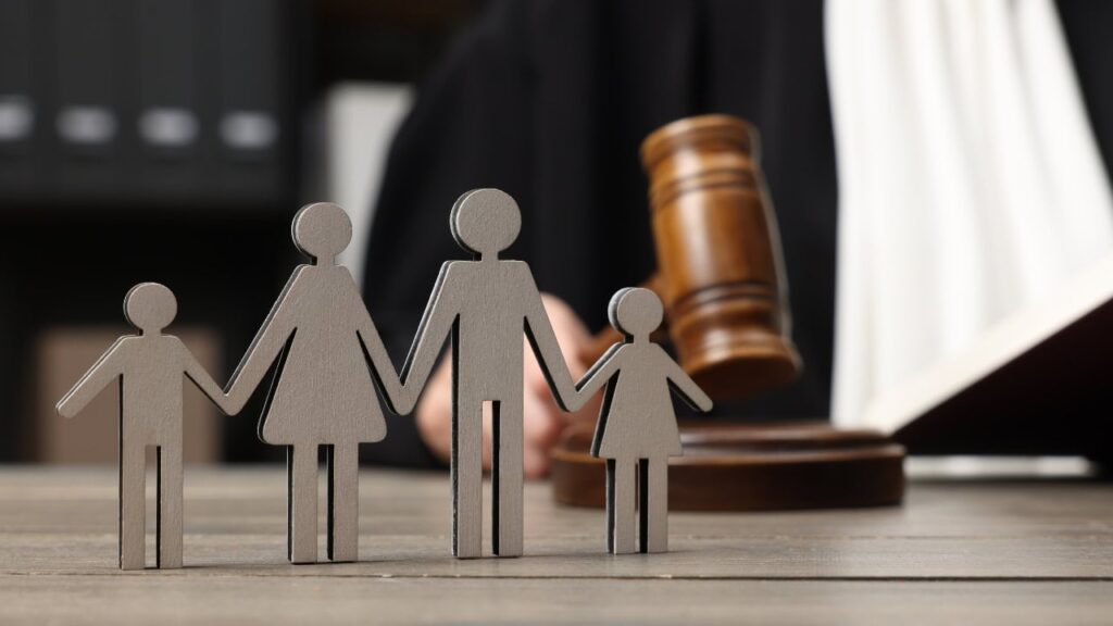 How a Guardianship Lawyer Can Simplify Court Proceedings