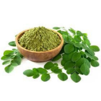 Moringa Oleifera Extract