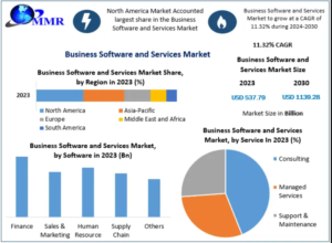 Business Software and Services Market