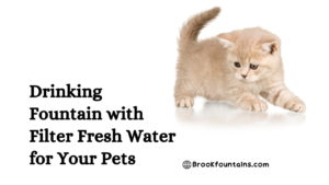 Drinking Fountain with Filter