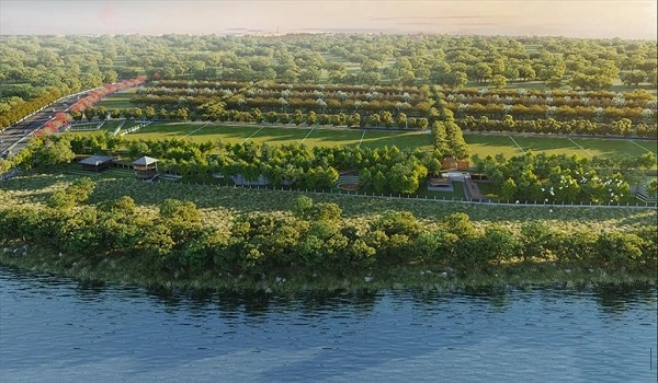 Prestige Pulimamidi Plots