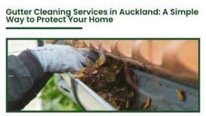 Professional gutter cleaning service in Auckland removing leaves and debris from roof gutters