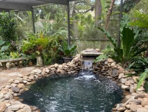 Koi pond builders in Miami, FL