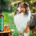 Best Pawbiotix for Strong Dog Gut Support
