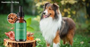 Best Pawbiotix for Strong Dog Gut Support