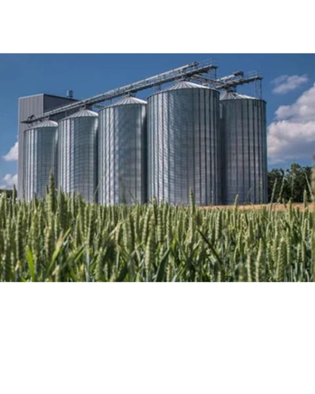 Industrial storage solutions by RCrisp Solutions India Private Limited