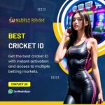11xplay betting ID, 11xplay cricket id, 11xplay official website
