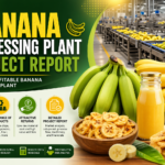 Banana Processing Plant
