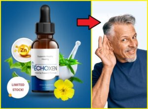 EchoXen